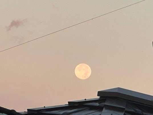 23.11.28朝の満月.jpg