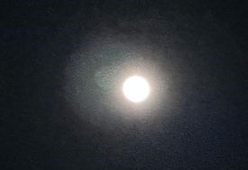 24.1.25落っこちそうな小望月.jpg